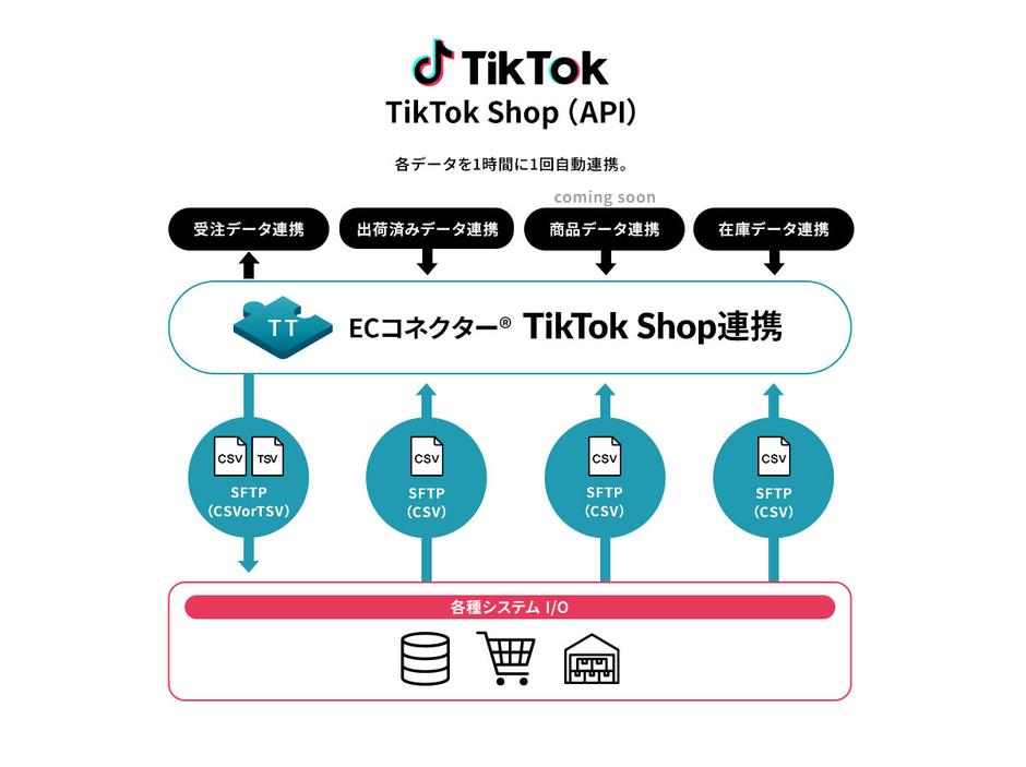 tiktokshop_function.jpg